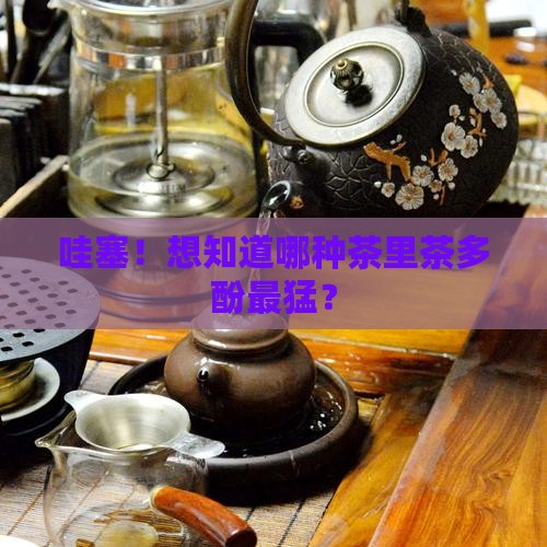 哪种茶含茶多酚
