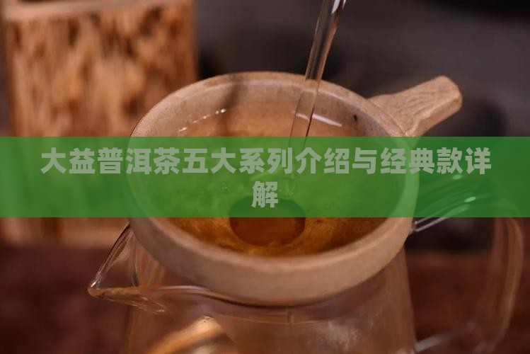 大益普洱茶五大系列