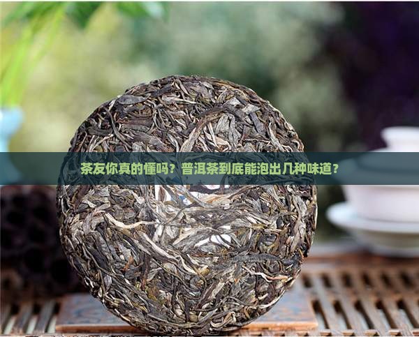 普洱茶到底有多高