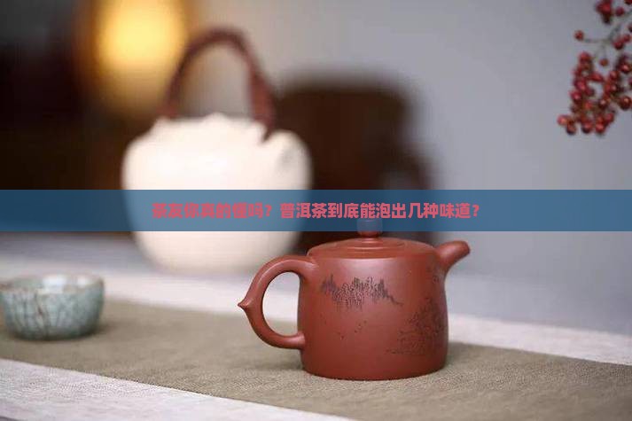 普洱茶到底有多高