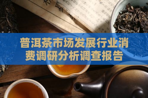 普洱茶调研分析