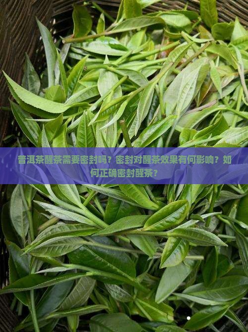 普洱茶醒茶密封