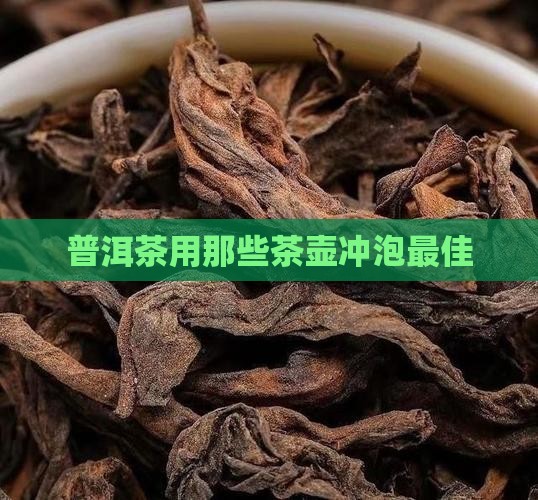 普洱茶用那些茶壶