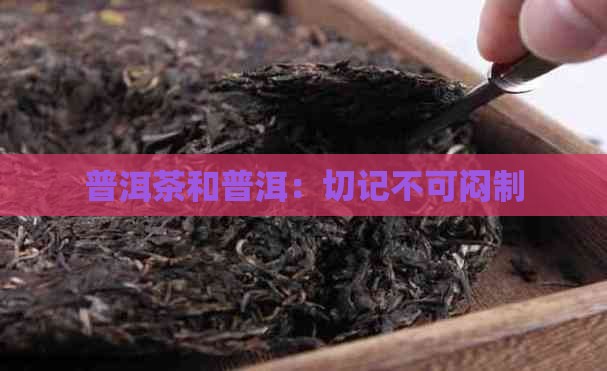 普洱茶不可以闷