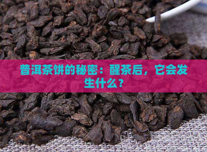 普洱茶开饼醒茶