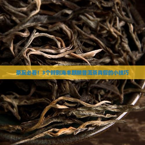 海丰麒麟普洱茶