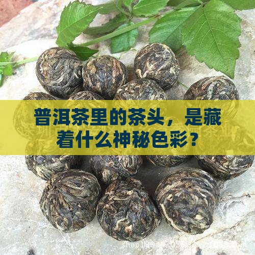 普洱茶的茶头是什么颜色