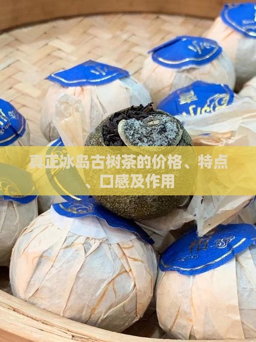 真正冰岛古树茶