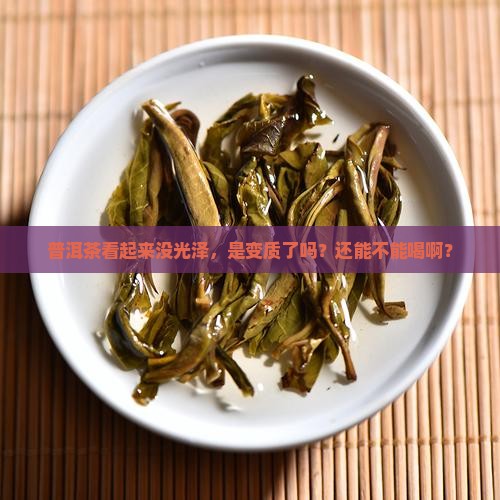 普洱茶没光泽是坏了吗还能喝吗
