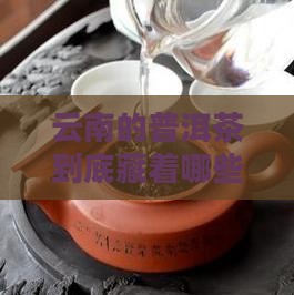 云南的普洱茶包括有
