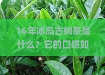 16年冰岛古树茶