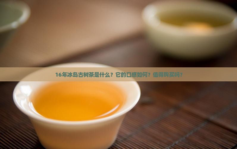 16年冰岛古树茶
