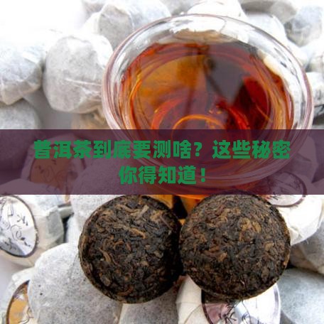 普洱茶检测哪些参数