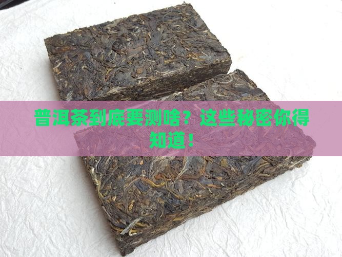 普洱茶检测哪些参数