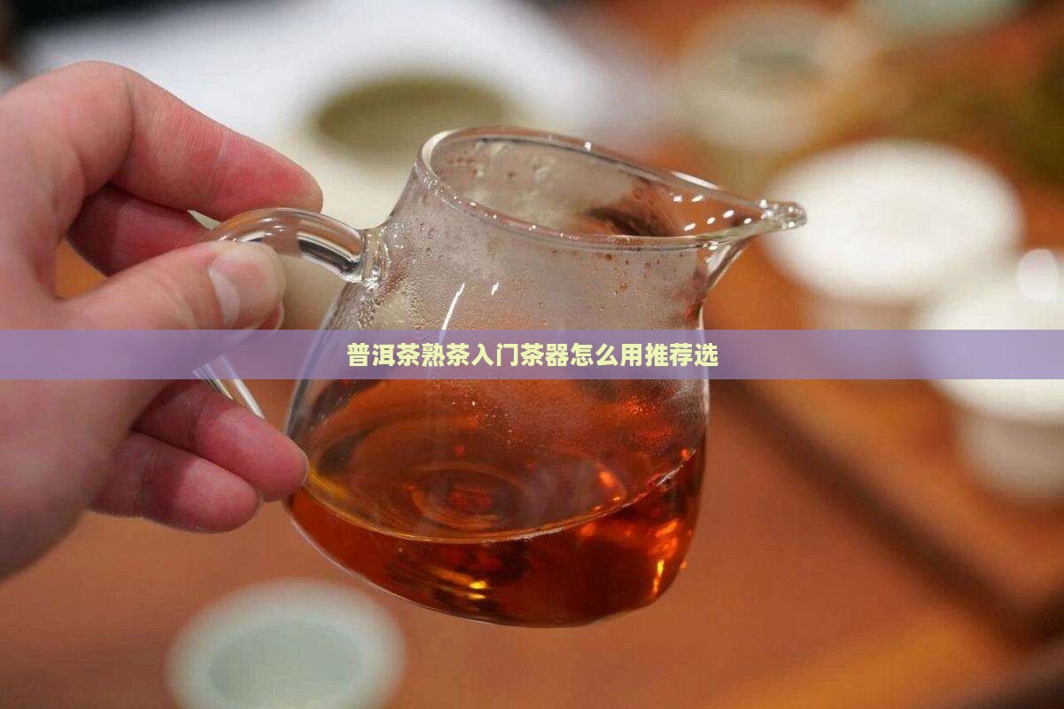 普洱茶熟茶入门茶器