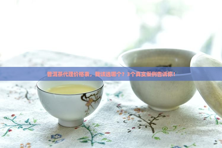 满城普洱茶代理价格