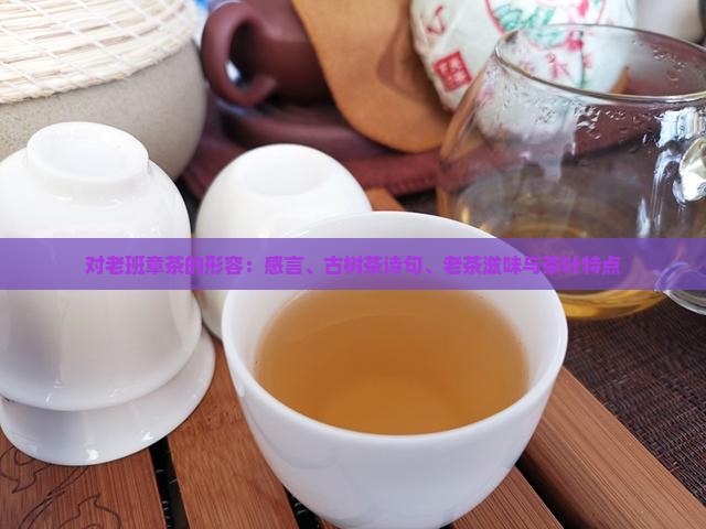 对老班章茶的形容