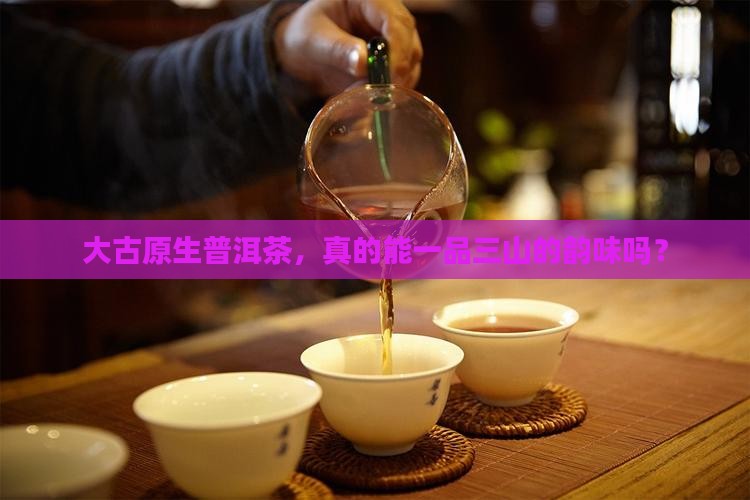 大古原生普洱茶一品三山