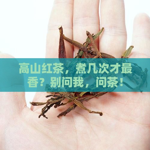 高山红茶能煮几次