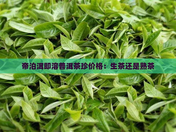 帝泊即溶普洱茶珍价格