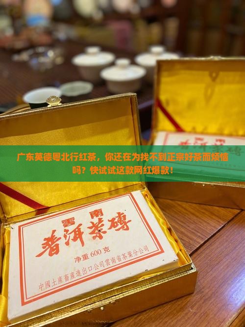 广东英德粤北行红茶 广东英德粤北行红茶