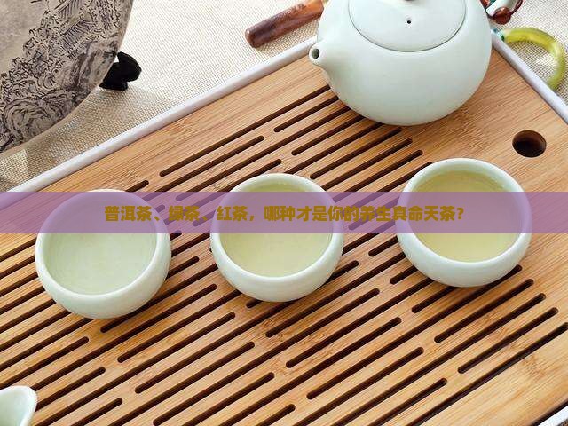 普洱茶绿茶红茶的功效
