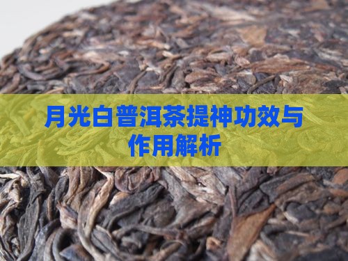 月光白普洱茶提神