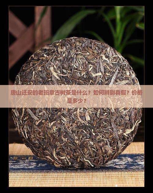 唐山迁安老班章古树茶