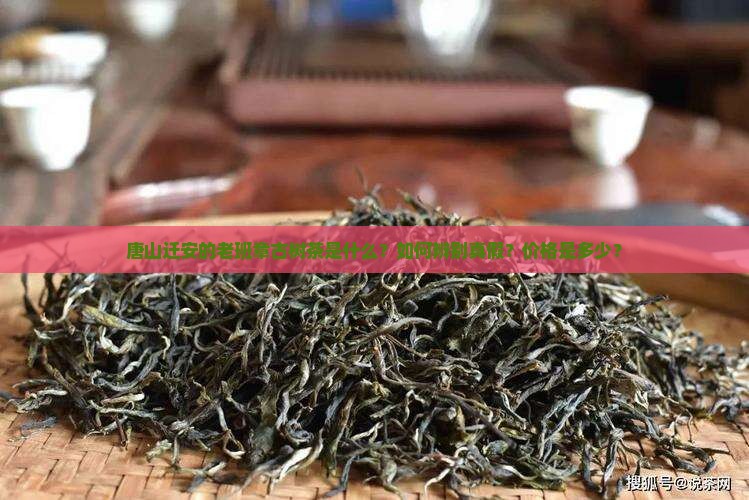 唐山迁安老班章古树茶
