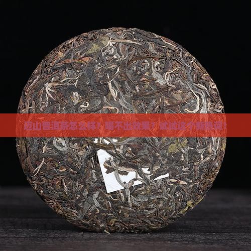 迈山普洱茶怎么样