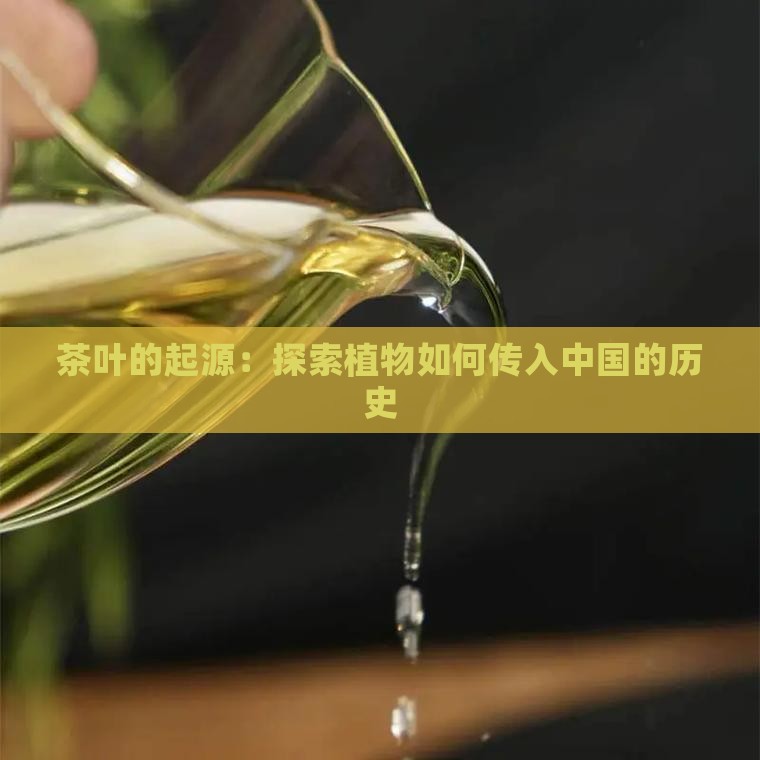 茶叶什么时候引进中国
