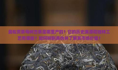 曼松贡茶母树古茶