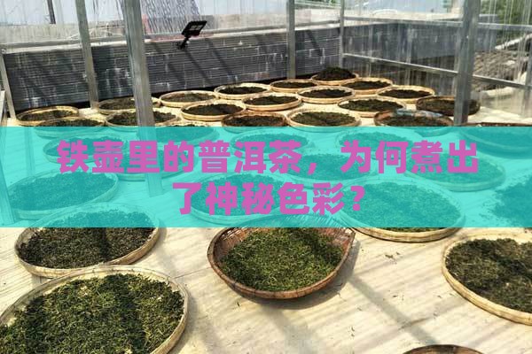 铁壶煮熟的普洱茶变色