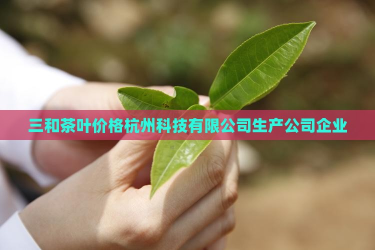三和萃茶叶价格