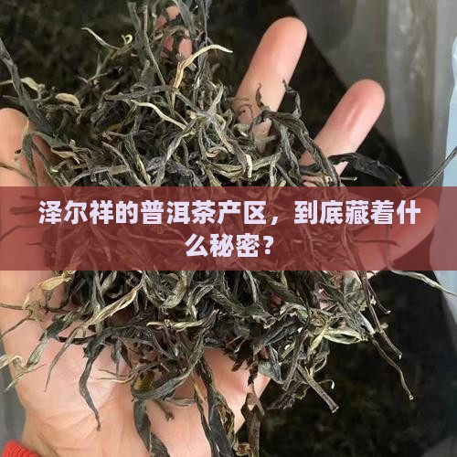 泽尔祥普洱茶产区