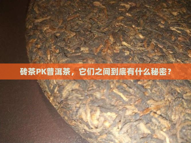 砖茶和普洱茶的区别在哪里