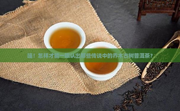 怎么分辨乔木古树普洱茶