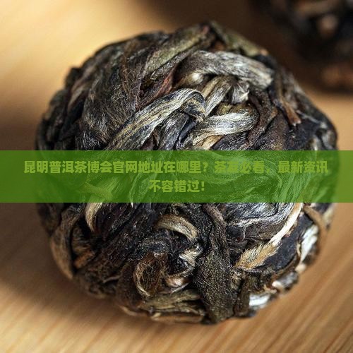 昆明普洱茶博会官网地址