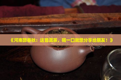 河南醉春秋普洱茶