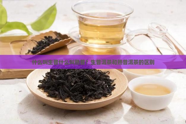 什么叫生普什么叫熟普
