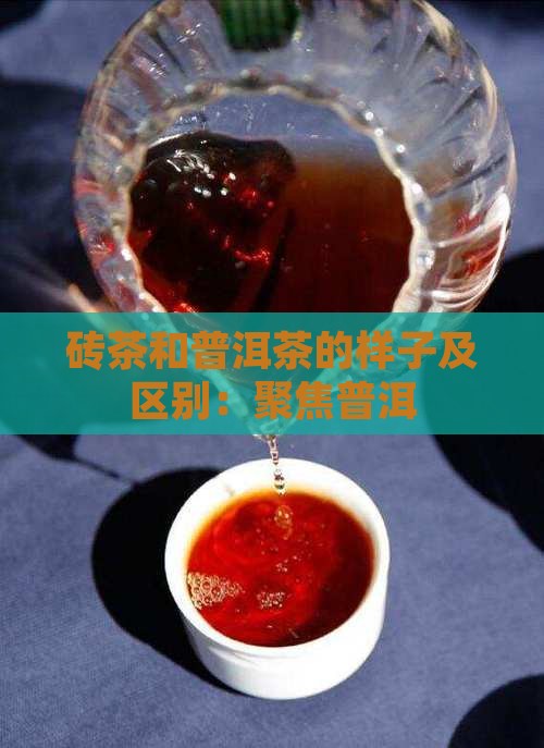 砖茶和普洱茶的样子