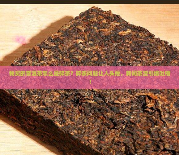我买的普洱茶怎么是碎茶