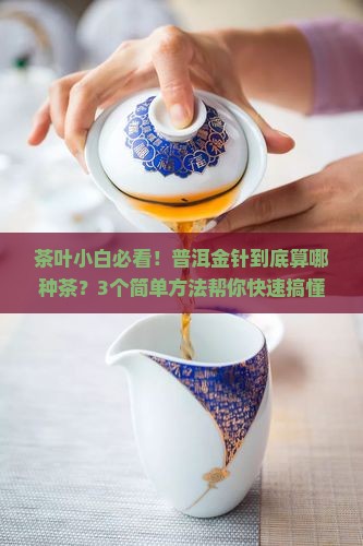 普洱金针是属什么茶