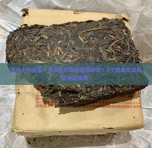 普洱金针是属什么茶