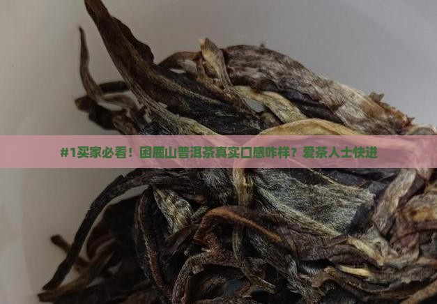 困鹿山普洱茶特点产地