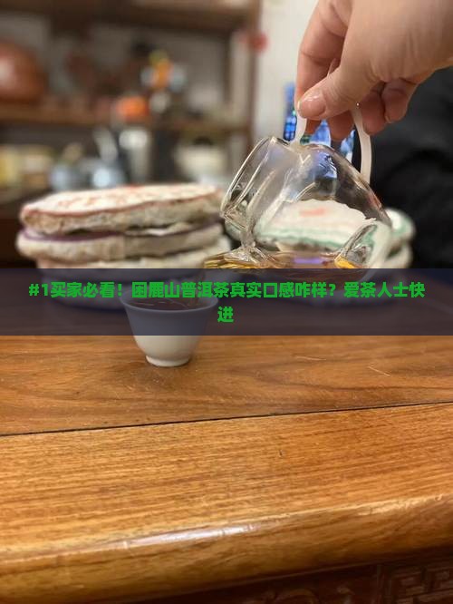 困鹿山普洱茶特点产地