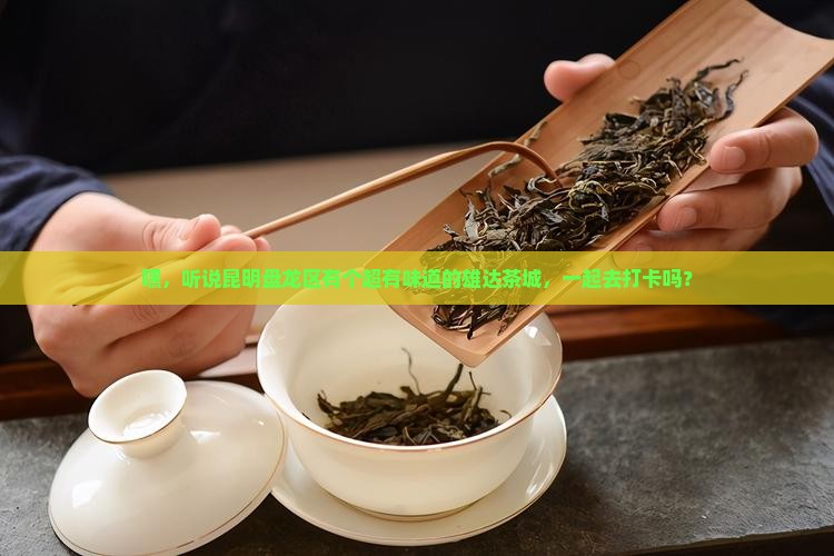云南省昆明市盘龙区雄达茶城