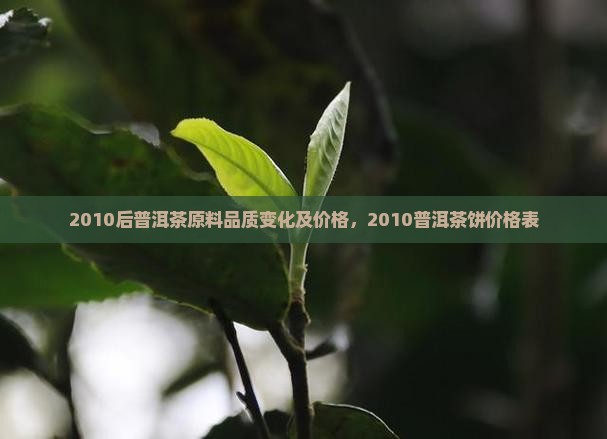 2010后普洱茶原料品质