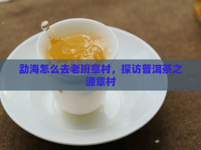 勐海怎么去老班章村