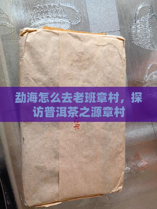 勐海怎么去老班章村